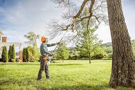 Best Tree Planting Services  in Dormont, PA